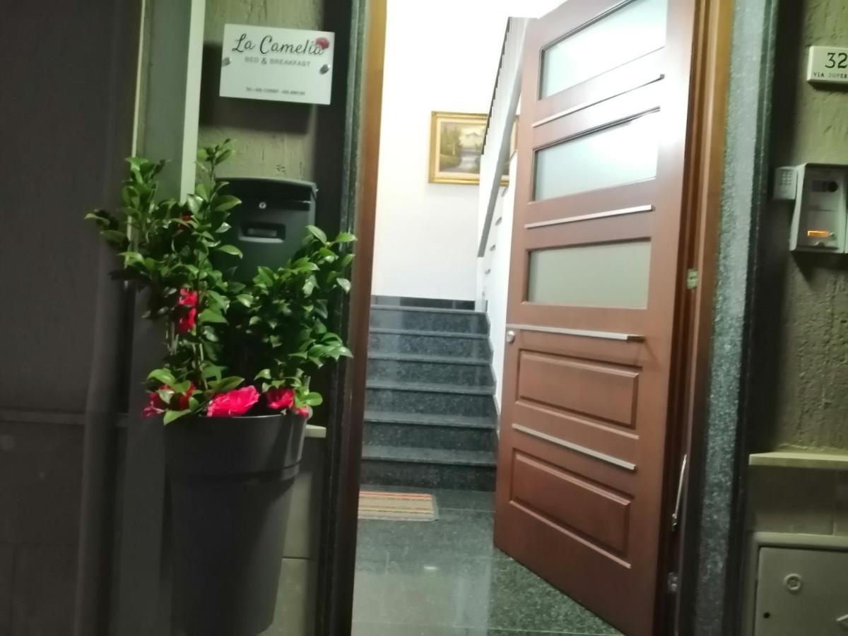 סנטרמו אין קולה B&B La Camelia מראה חיצוני תמונה